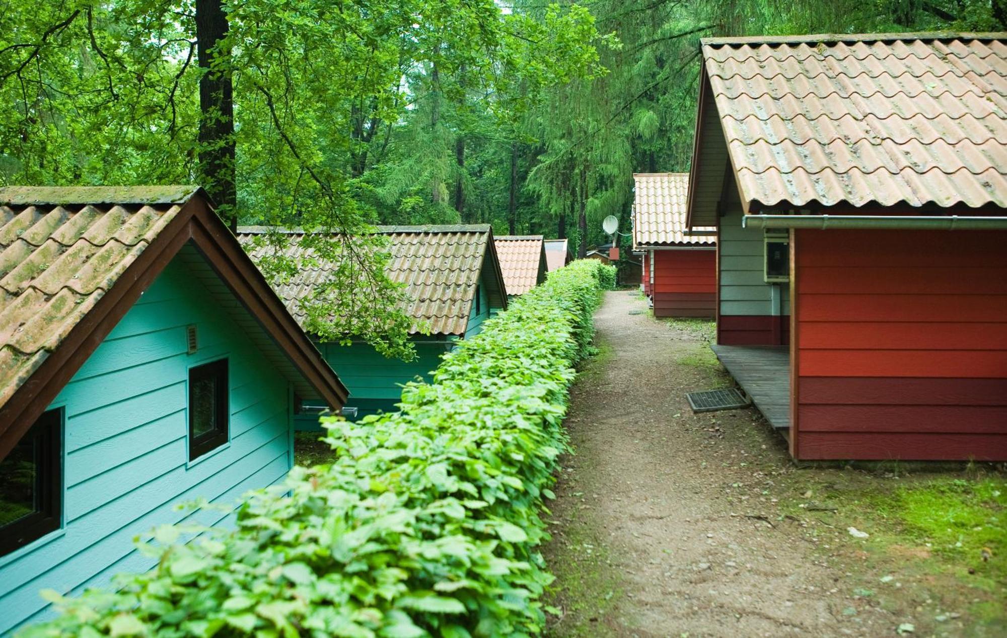 Waldidylle - Bungalows An Der Talsperre Kriebstein Esterno foto