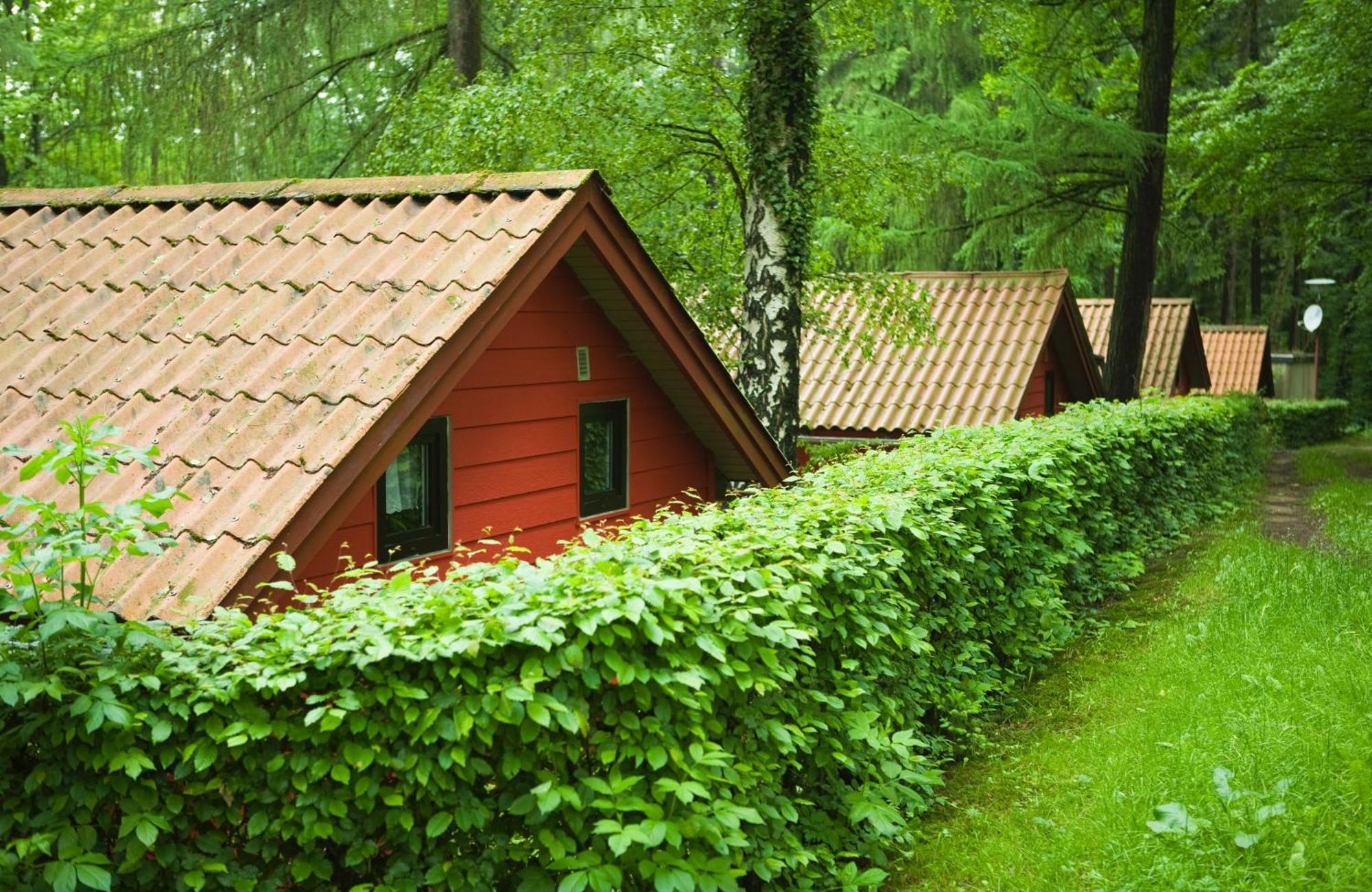 Waldidylle - Bungalows An Der Talsperre Kriebstein Esterno foto