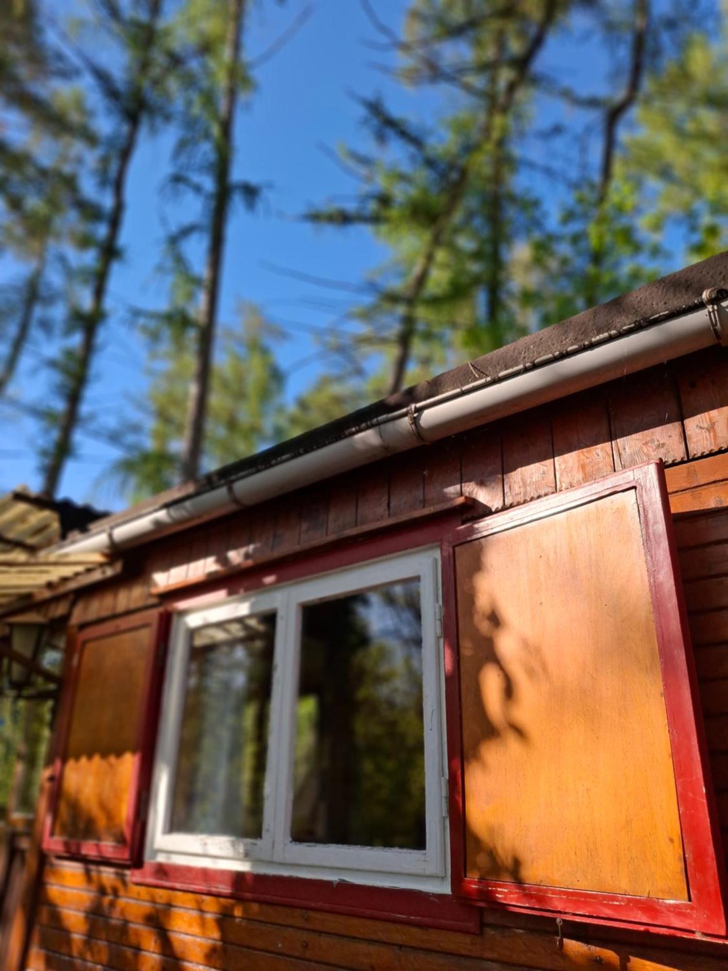 Waldidylle - Bungalows An Der Talsperre Kriebstein Esterno foto